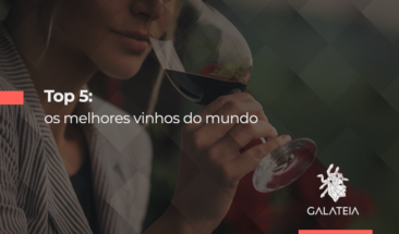 imagem de capa melhores vinhos